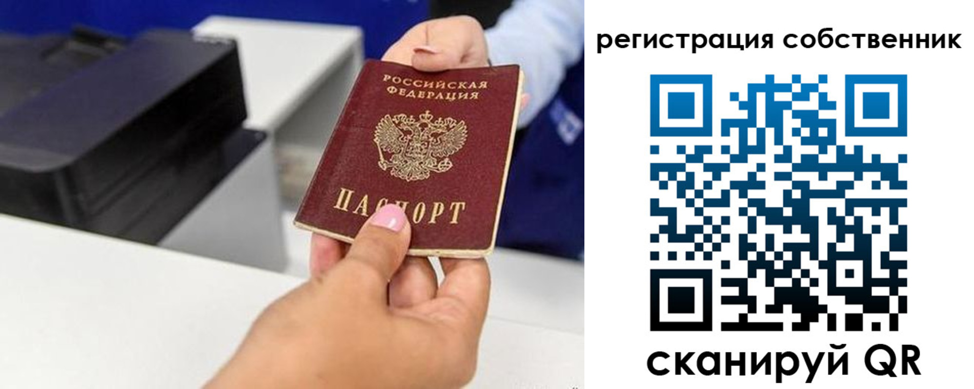 прописка для школы в Пересвете